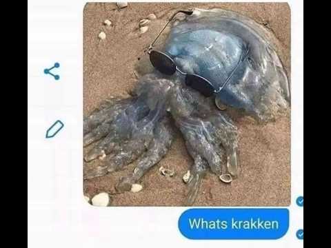 What S Krakken