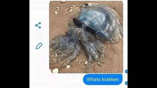 what's krakken