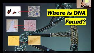 Crime Scene Analysis