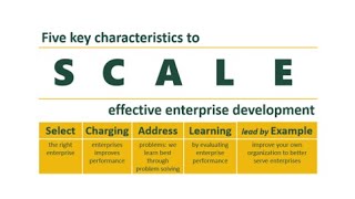 5 lessons to SCALE effective enterprise development. A summary of what works