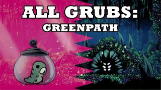 ULTIMATE Grub Guide | Greenpath 【Hollow Knight】