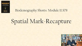 Stream Spatial mark-recapture Online