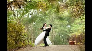 no copyright the best wedding invitation royalty free BACKGROUND music sound effects