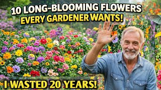 10 Longest-Blooming Perennial Flowers That Keep Your Garden Alive &ndash; Discover & Grow Today!