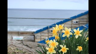 青海川駅 2021年4月