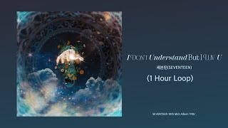 세븐틴(SEVENTEEN)- I Don't Understand But I Luv U (1 Hour Loop) | 1시간 가사