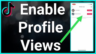 How To Turn On Profile Views On TikTok