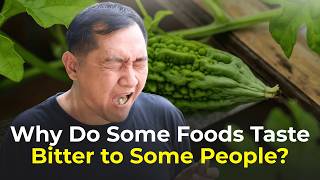 Why Some Foods Taste Bitter to Some People | The Science Explained