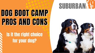 Dog Boot Camp Pros and Cons