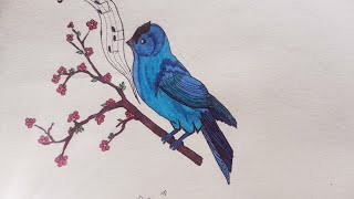 How to Draw a Songbird | Marz's Passion