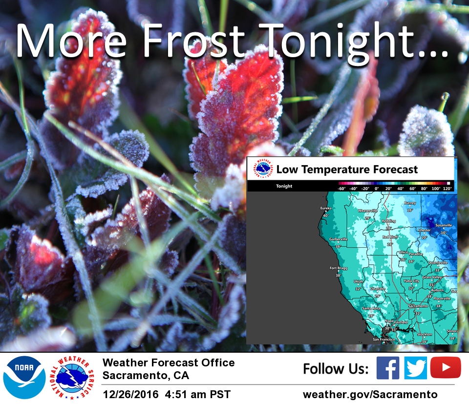 More frost overnight, dry weather for the rest of the year