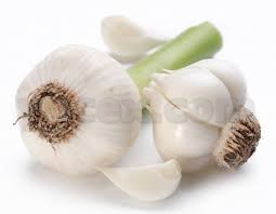 S Harfi Ile Baslayan Bitki Cicek Meyve Isimleri Nelerdir Bas Harfi S Olan Bitkiler En Son Haberler Milliyet