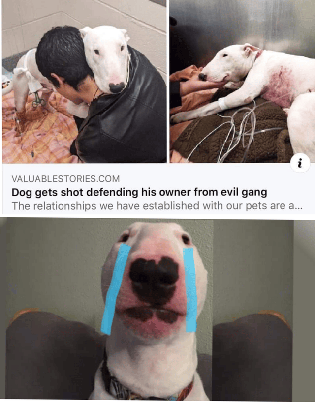 Goodbye Friend