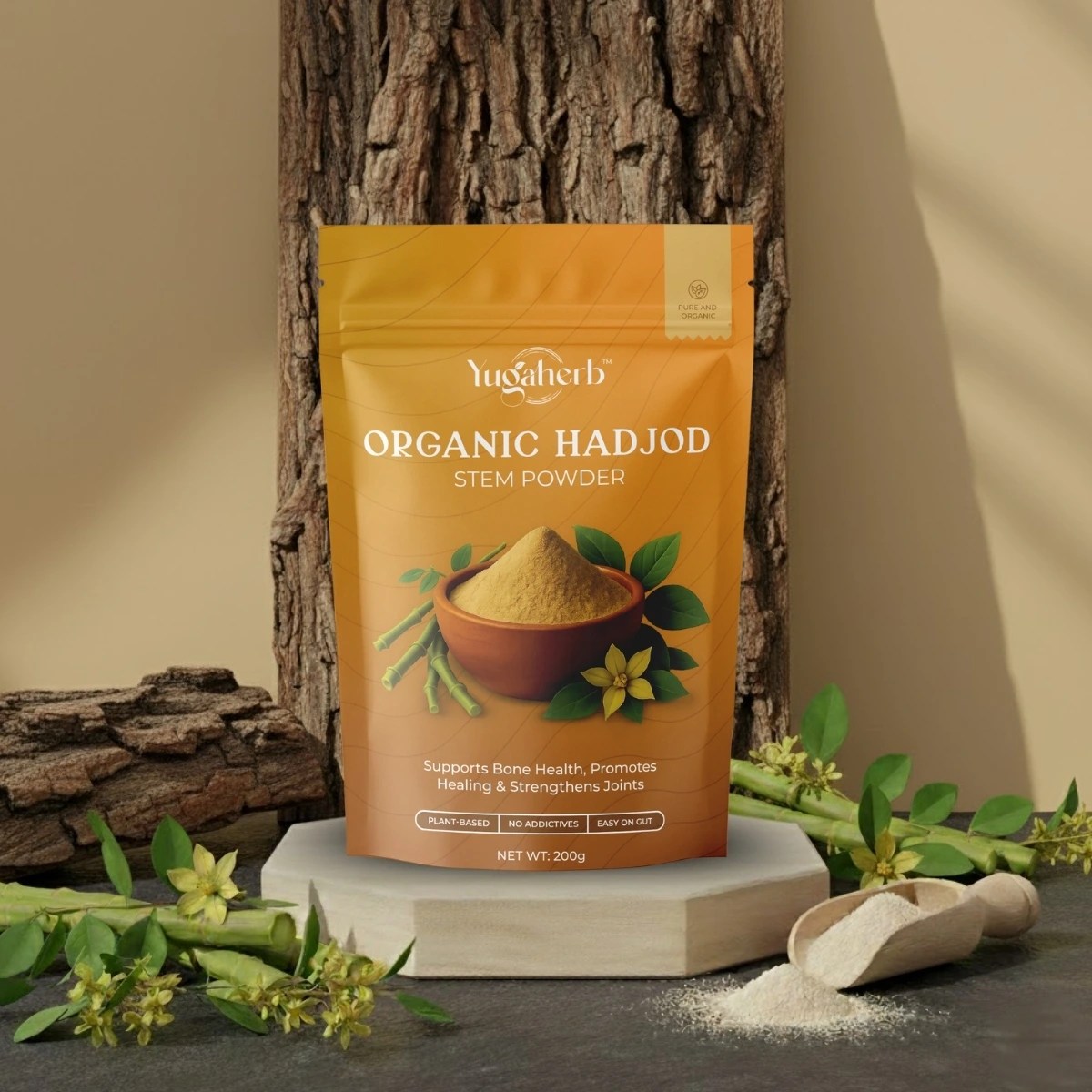 Organic Hadjod Stem Powder