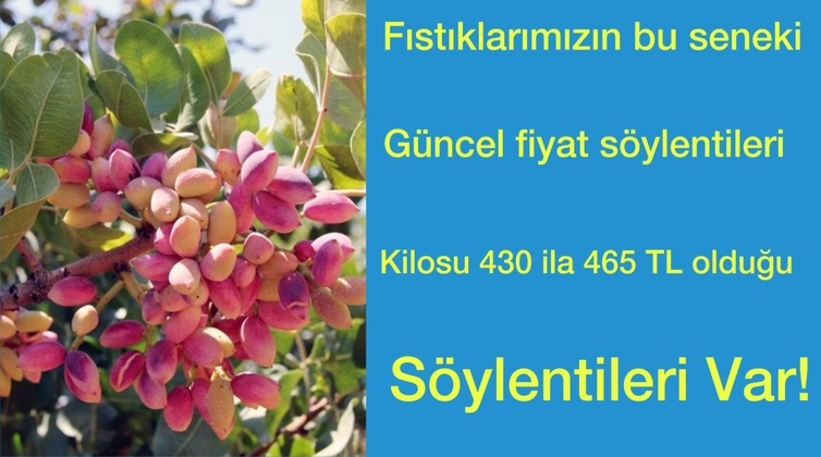 GÜNCEL FISTIK FİYATLARI’NIN FİYATI NE KADAR SİZCE?