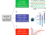 Reinforcement Learning Tools For Two Alternative Forced Choice Tasks