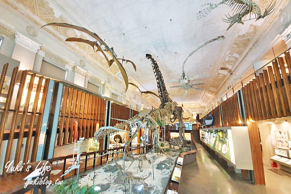 【台北室內景點】銅板價一票玩兩館！走進「國立臺灣博物館古生物館」開箱台北侏儸紀與百年神秘金庫