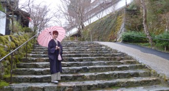 苺錦紋紗コートにｵﾘｴﾝﾀﾙ小紋で…雨に濡れた京都大原・芹生へ