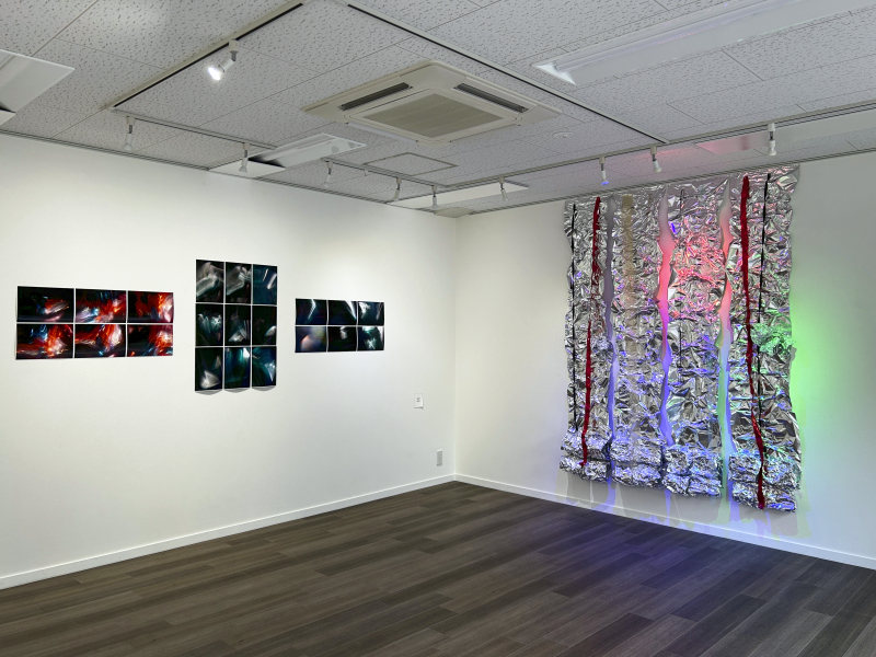 林 優子 / Yuko Hayashi official website
