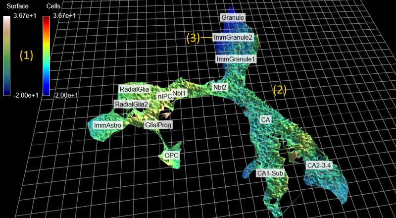 Github Jimkang Cellmap A Quadtree Based Cell Map That Tracks Cell - Download Perfect Ocean Illustration | High Resolution