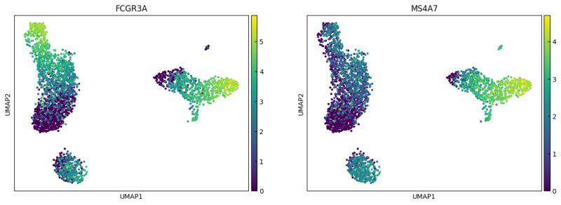Yusuke Imoto Lab Github - Premium Vintage Pattern - High Resolution