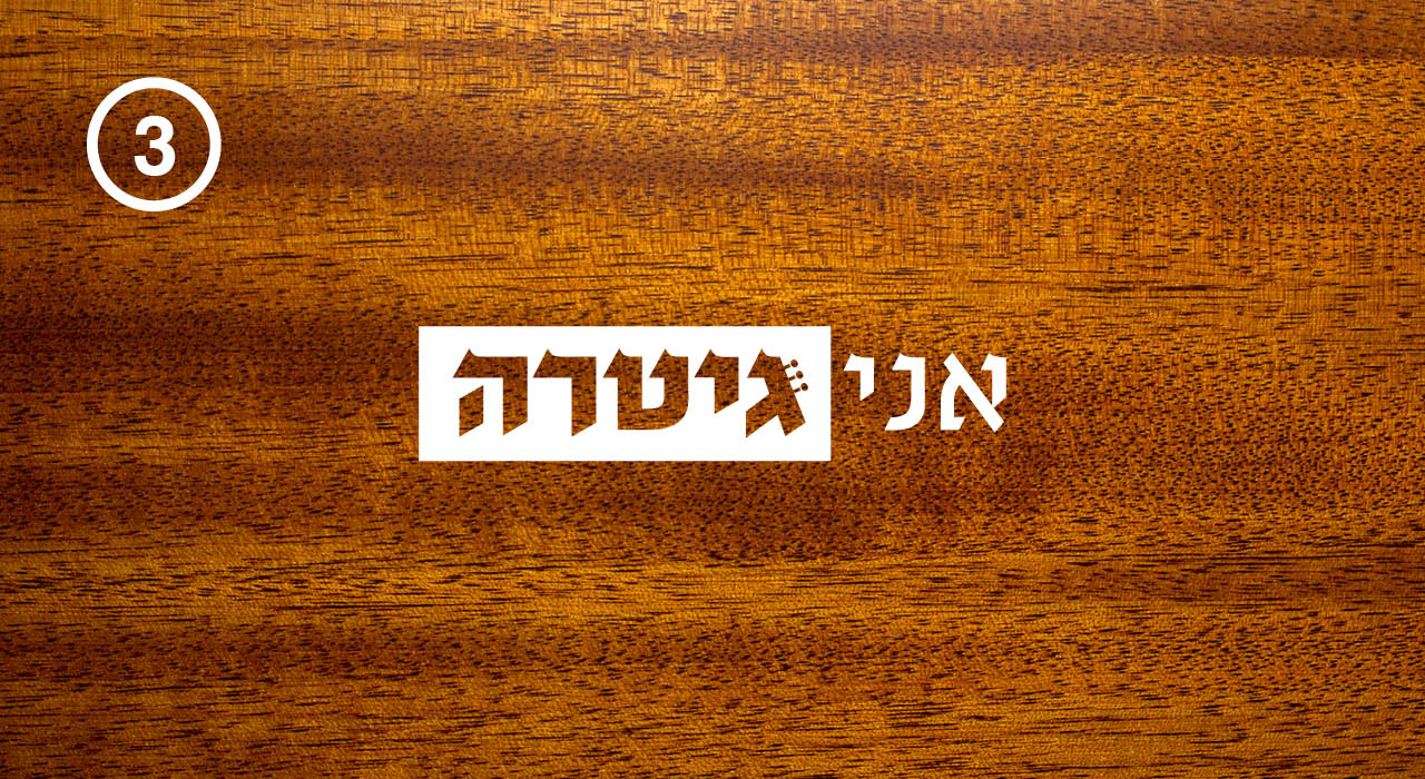 אני גיטרה #3