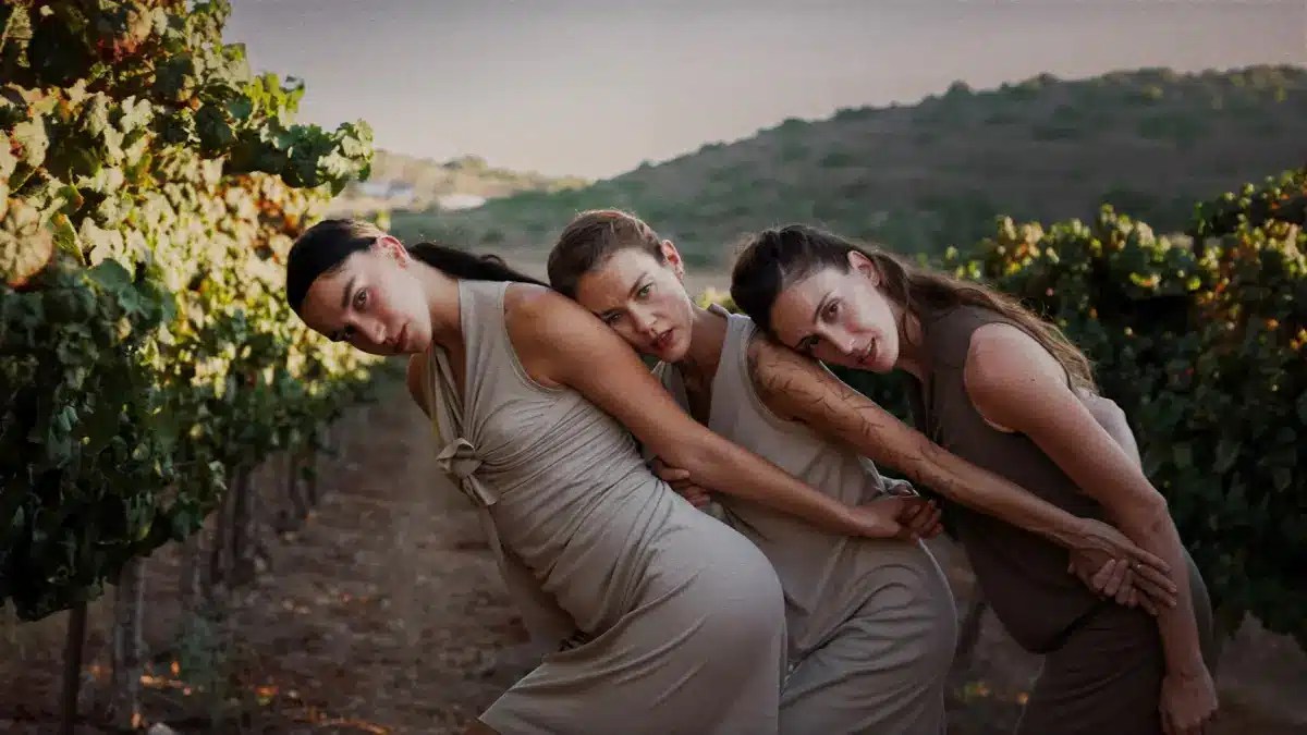 ורטיגו - פסטיבל מחול בכפר. צילום אנה שמיטקו