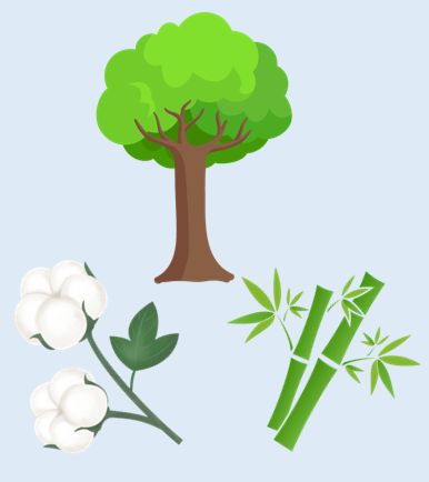 Bfm Lab Research - Nature Photos - Artistic 8K Collection