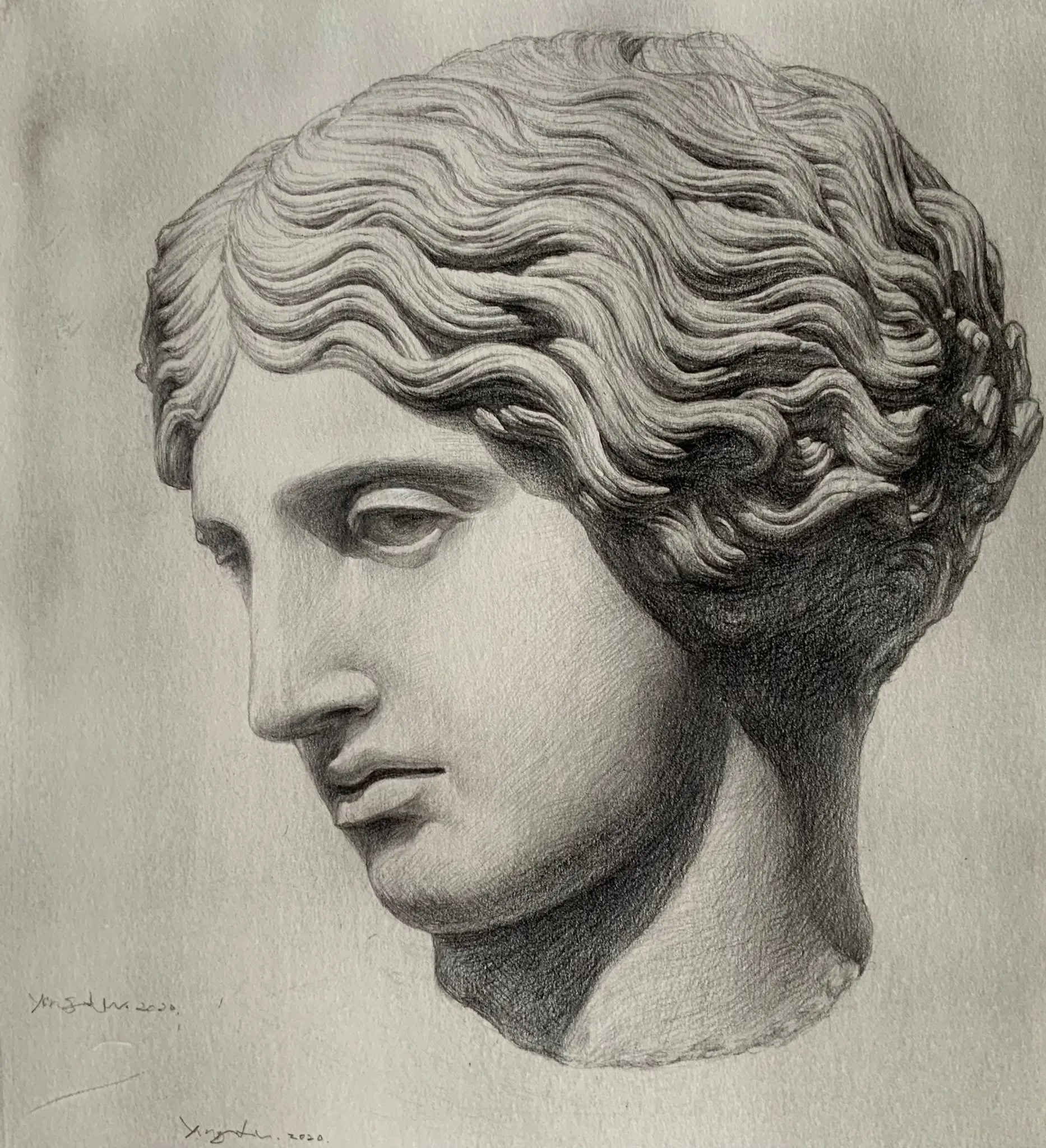 A Head Study of Greek Sculpture