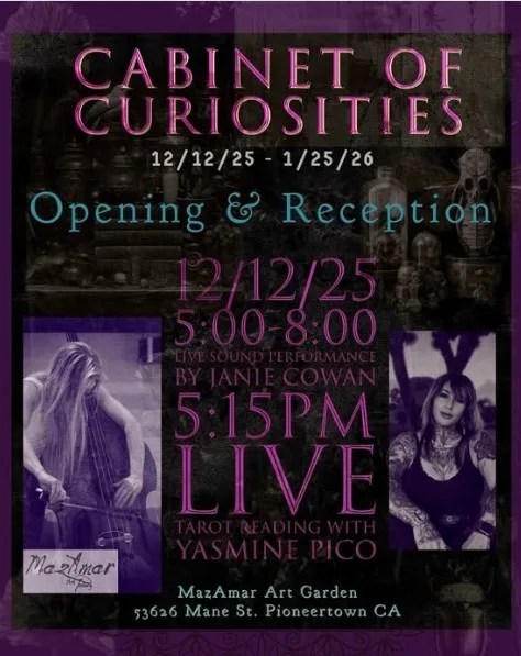 Cabinet of Curiosities