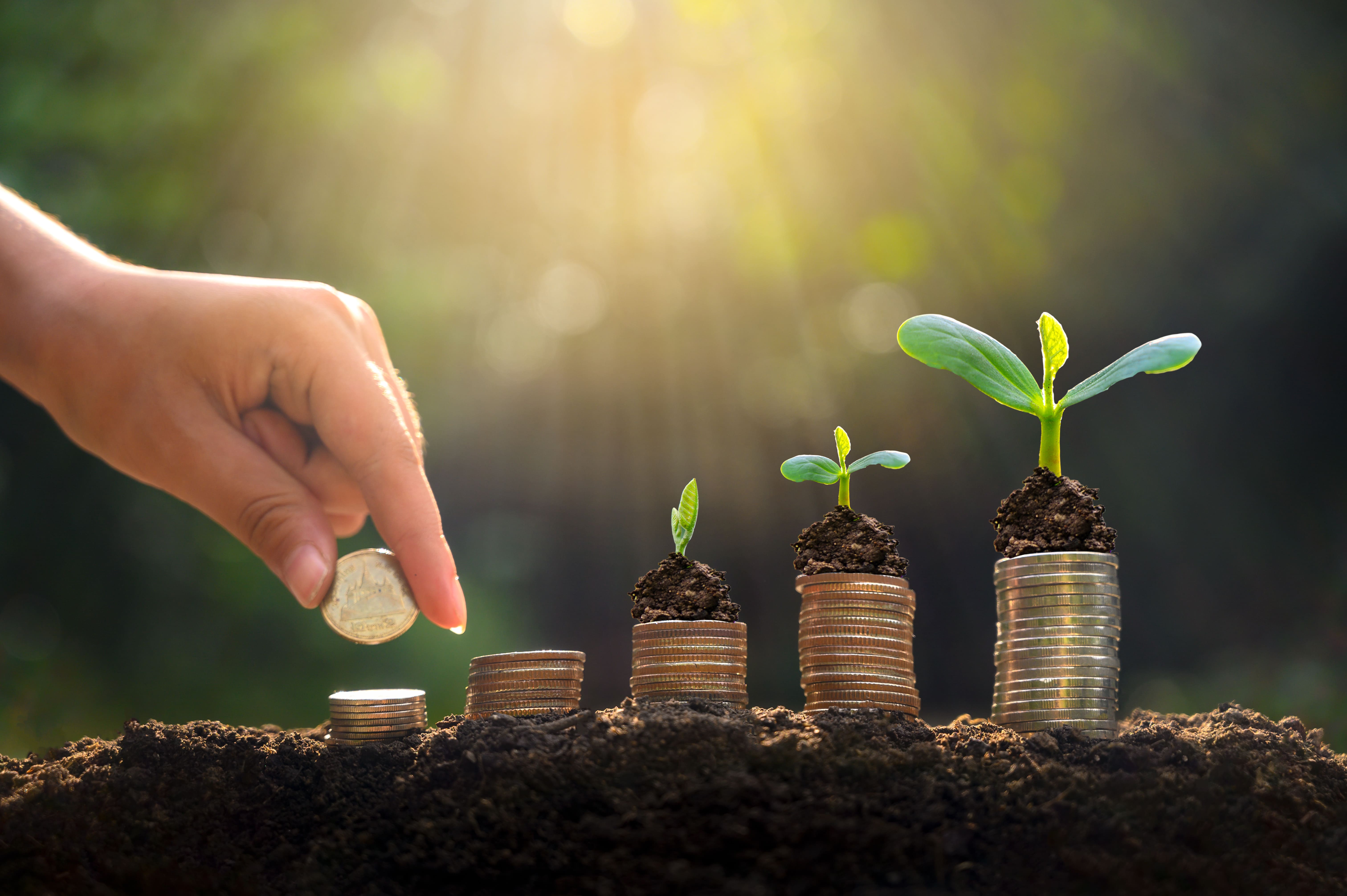 a hand dropping coins that plants grow out of.
