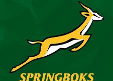Numbers Of Tests Played By Springboks In 2025