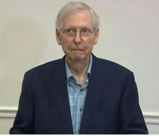 Senate Republican Leader Mitch McConnell Freezes During Press Conference For Second Time In Weeks