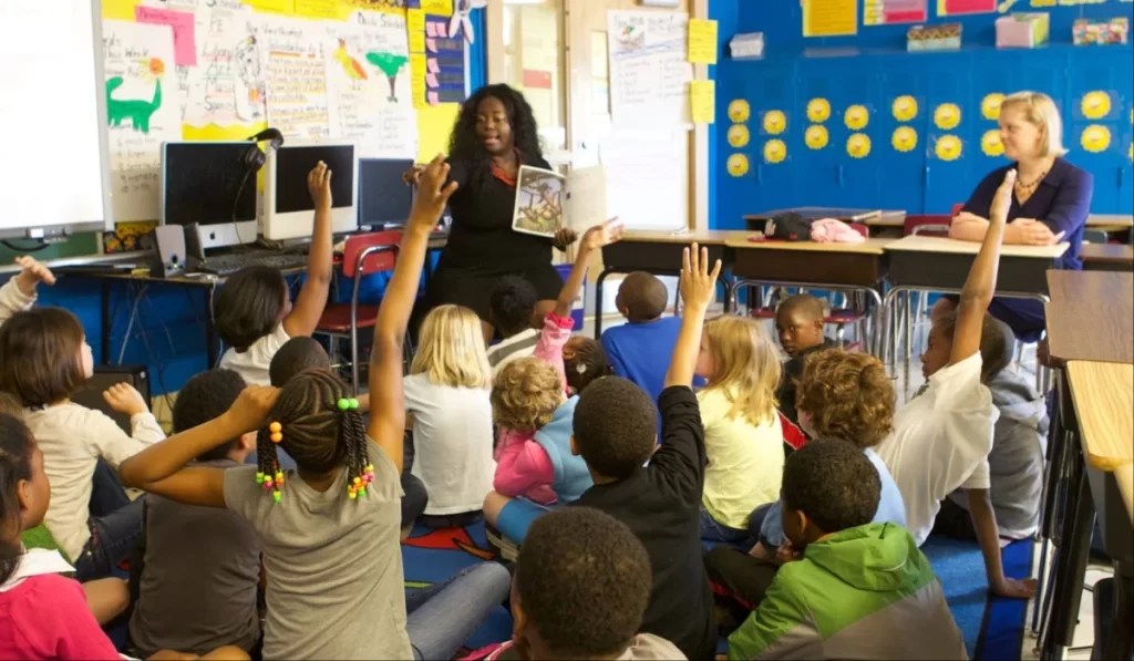 New Zealand Offers Permanent Residency To Primary School Teachers – Here Is How To Apply