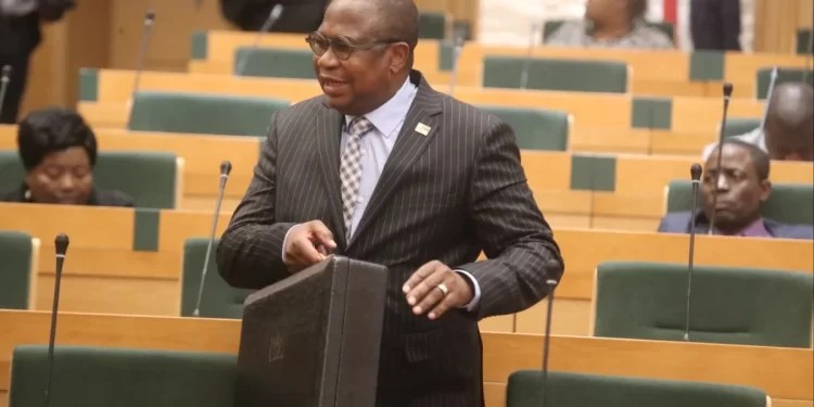 Companies In Zimbabwe Only Profitable When Breaking The Law, Admits Mthuli Ncube