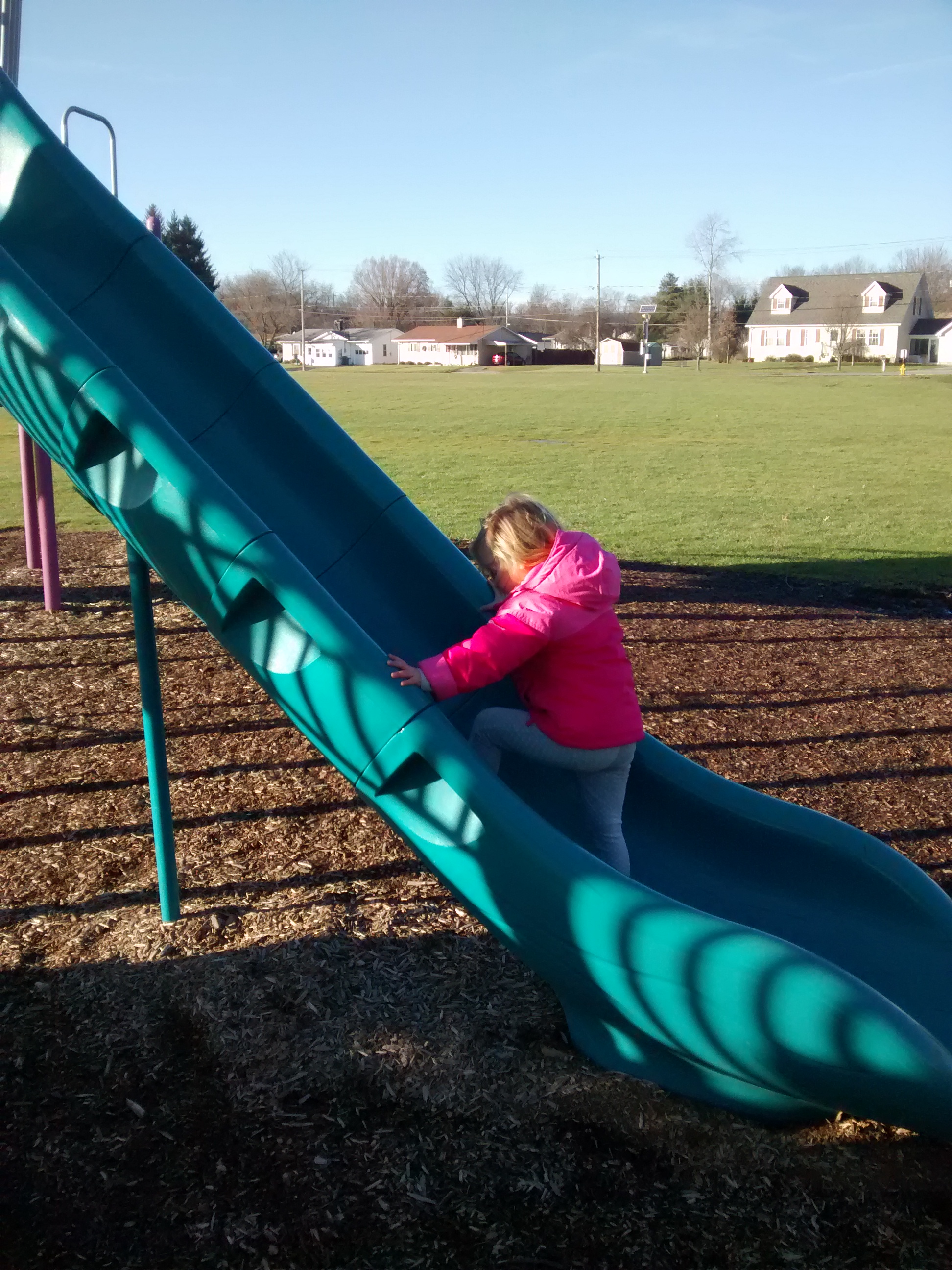 wp-1419779643826 image