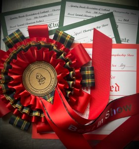 NCACSC Ch Show 23