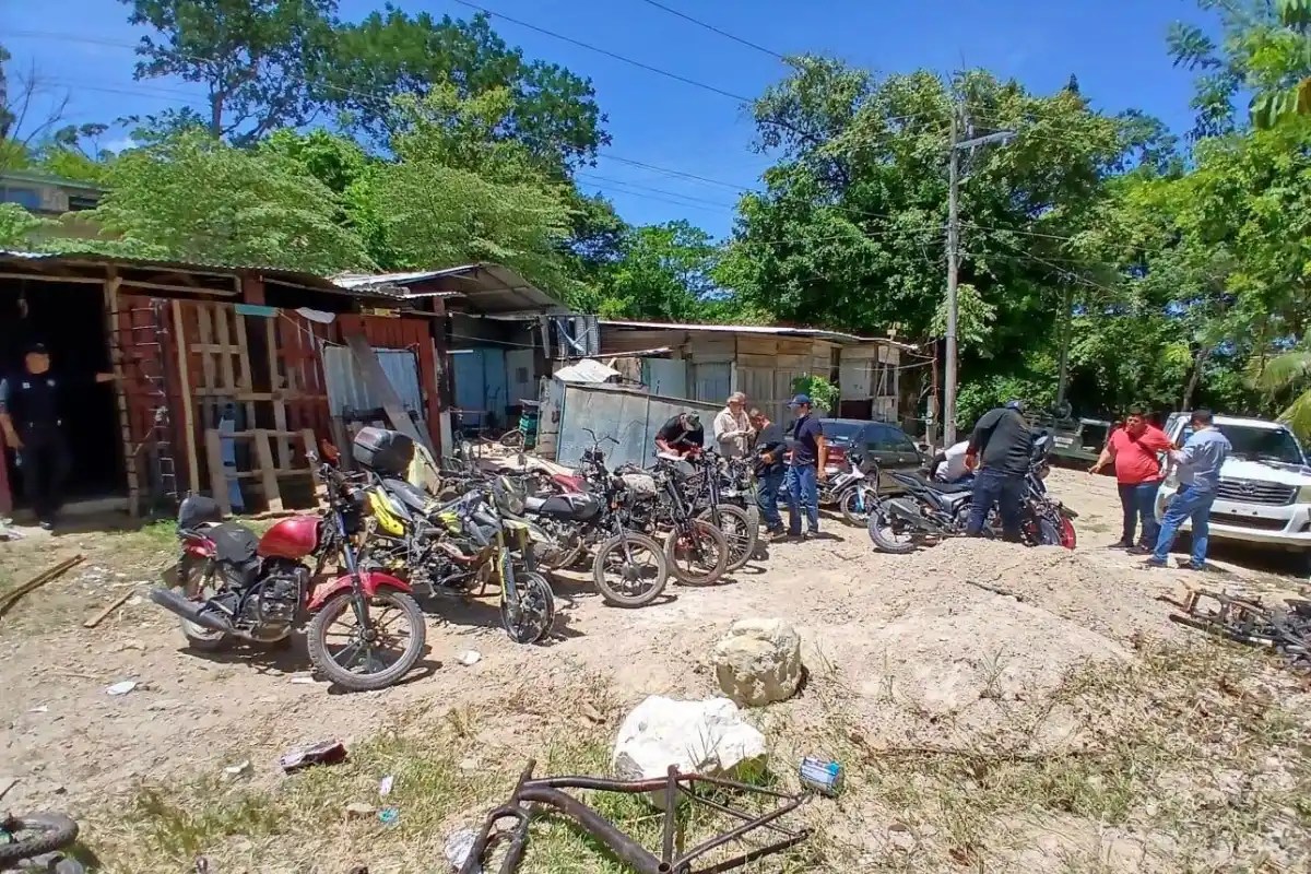 Grupo Interinstitucional ejecuta cateo por presuntos delitos de robo vehicular y contra la salud