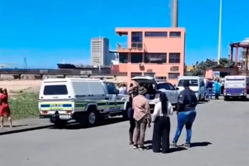 Muere mujer de 65 años tras ser atacada por un tiburón; cierran dos playas en Sudáfrica
