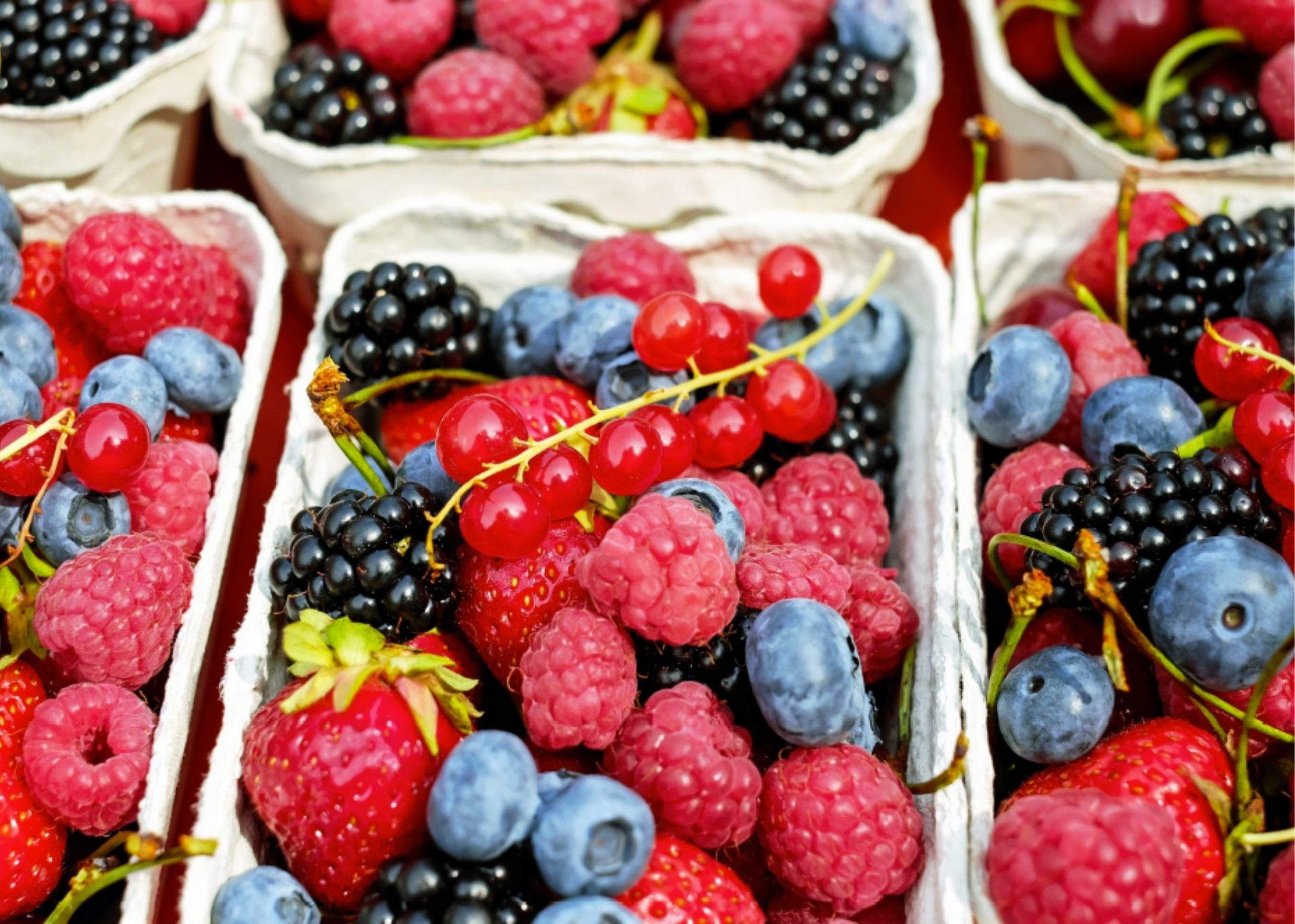 Anti-inflammatory Diet 101