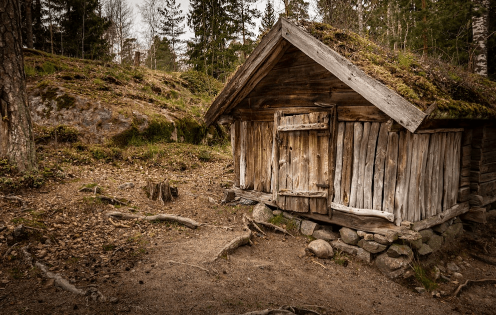 Custom Buildings: Tailored to You