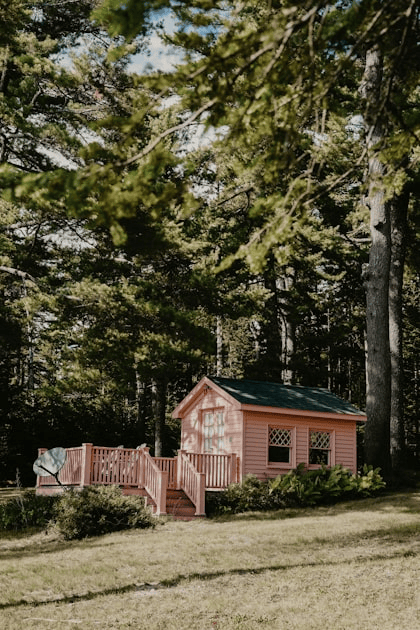Essential Features of Dog Houses