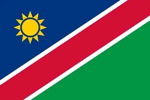 Namibia FA Logo