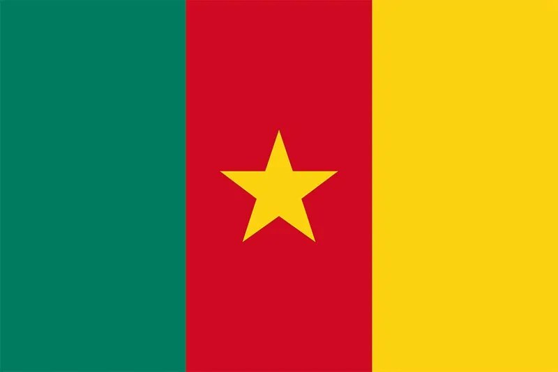 Cameroon Flag