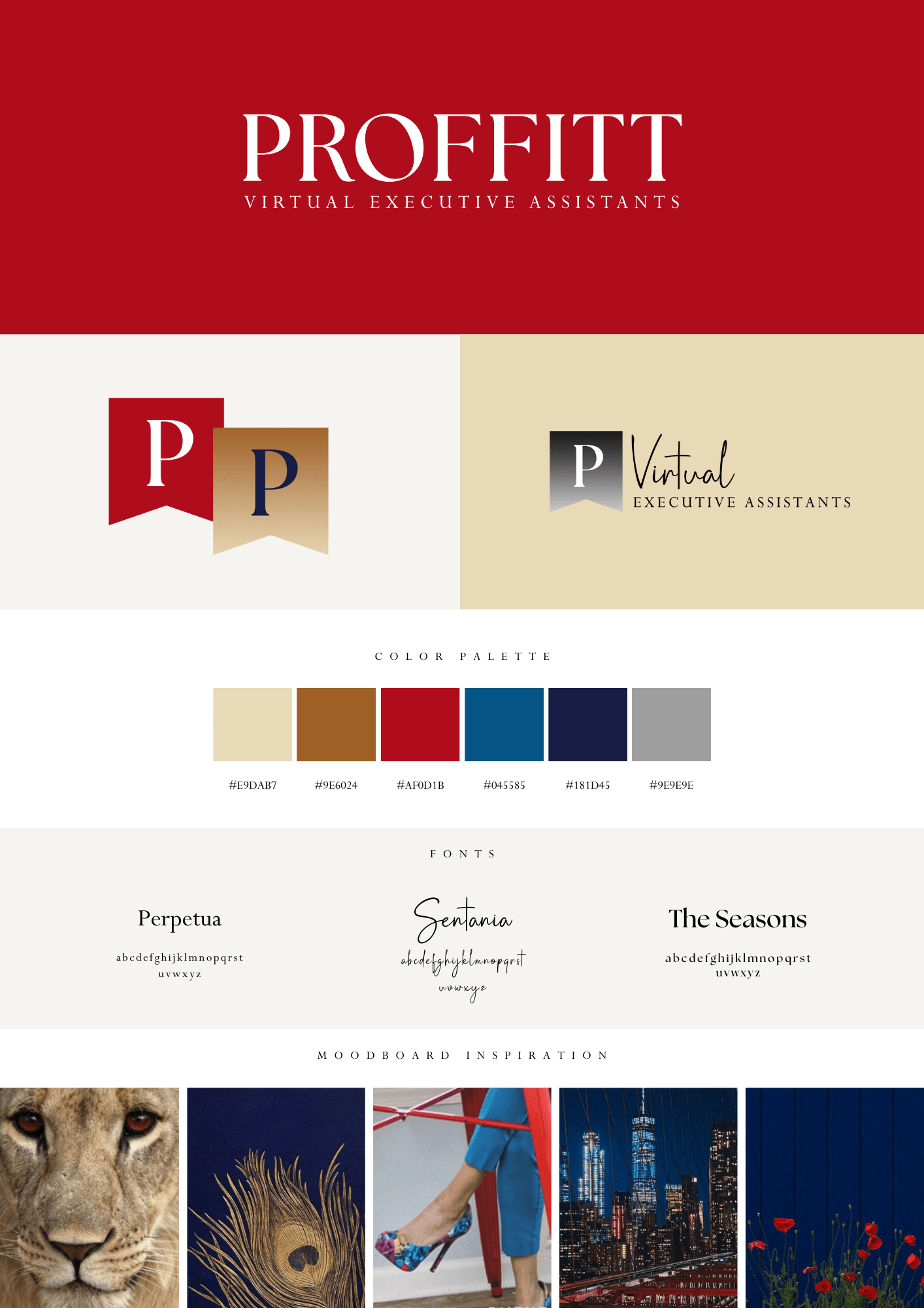 Zeely Creative Client Mini Brand Style Guide