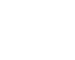Create the Audience