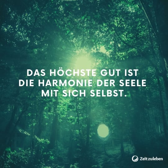 69 Lebensweisheiten Die Dein Leben Besser Machen