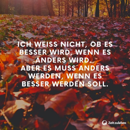 69 Lebensweisheiten, Die Dein Leben Besser Machen 540_x_540_jpg