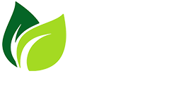 Zelaya Landscaping Maintenance and Design - Landscape designer in Raleigh