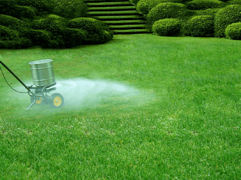 summer weed control